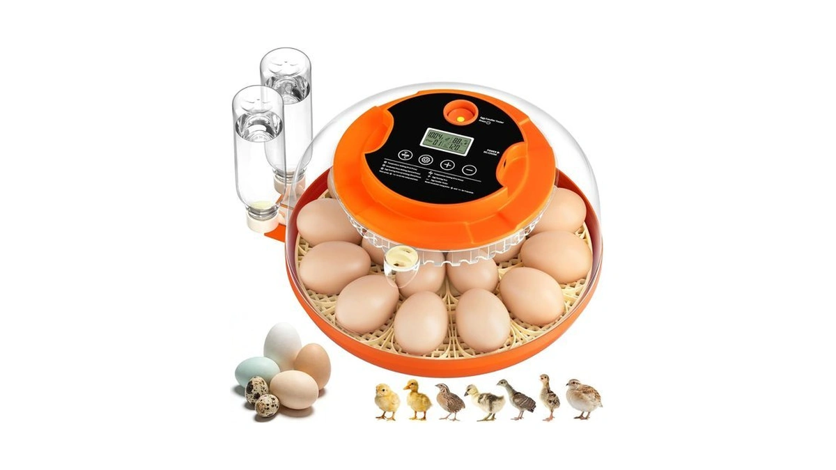 Verified image for post 265243