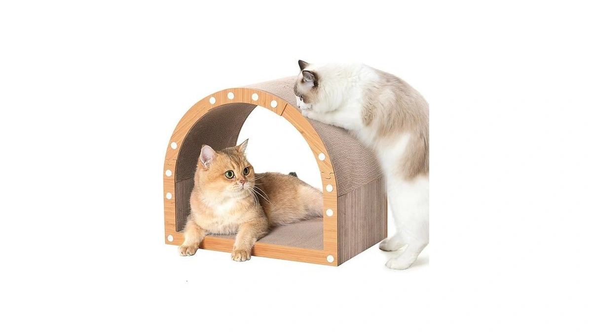 Verified image for post 265337