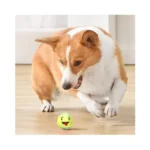 Verified image for post 266187