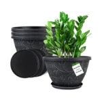 Verified image for post 266787