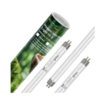 Verified image for post 267333