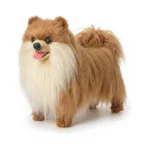 Verified image for post 268035