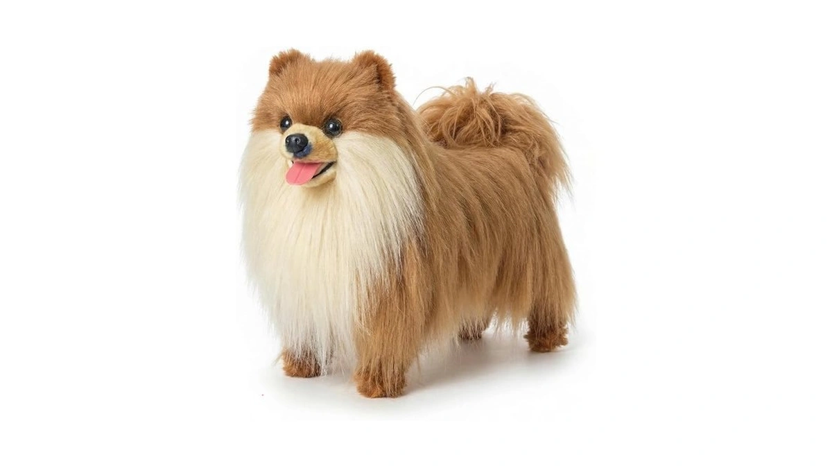 Verified image for post 268035