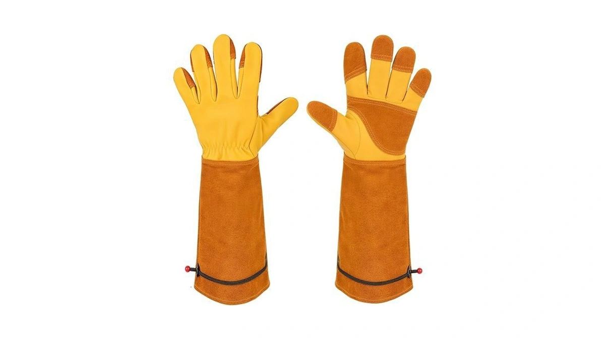 Verified image for post 268235