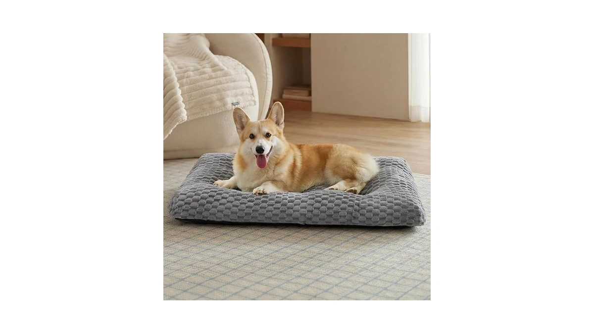 Verified image for post 268267