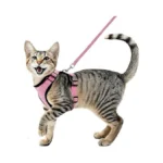 Verified image for post 268325