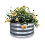 Verified image for post 268403