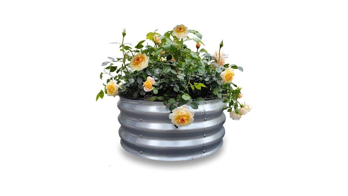 Verified image for post 268403