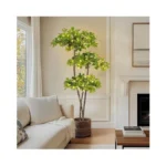 Verified image for post 268487