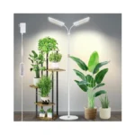 Verified image for post 268515