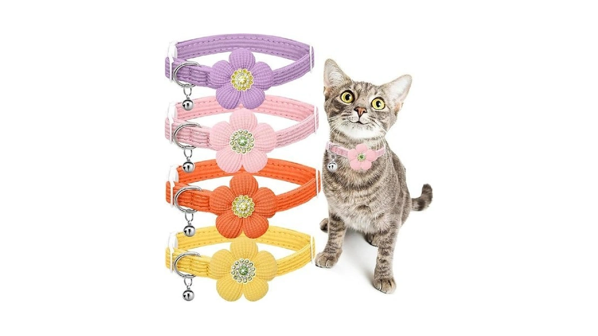 Verified image for post 268719