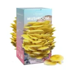 Verified image for post 269009