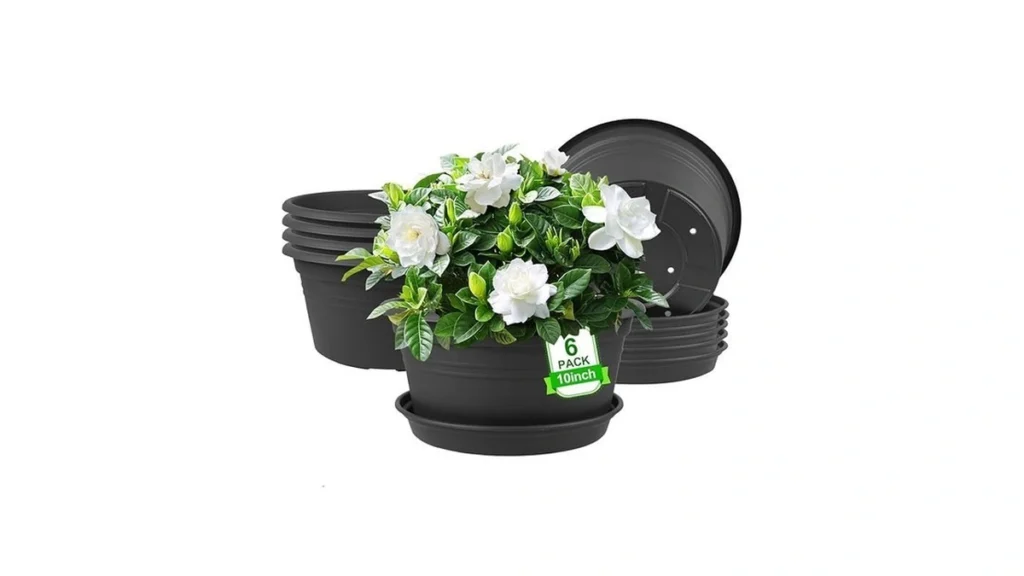 Verified image for post 270065