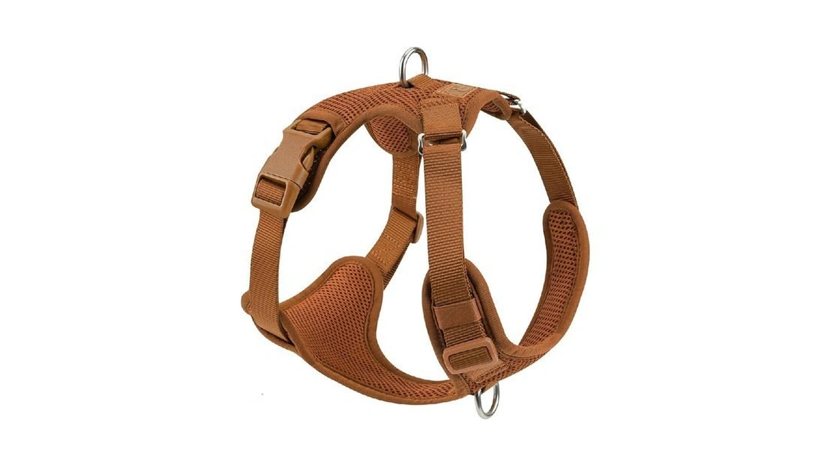 Verified image for post 270581