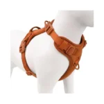 Verified image for post 270763