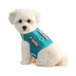 Verified image for post 270843