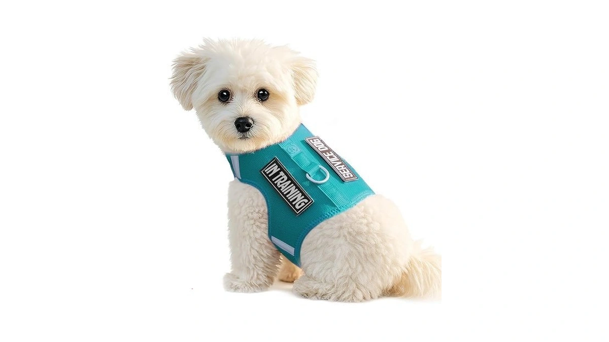 Verified image for post 270843