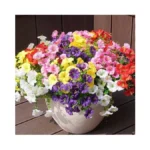 Verified image for post 270969