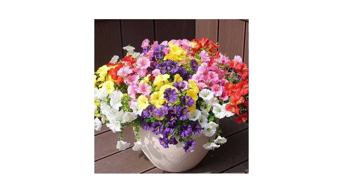 Verified image for post 270969