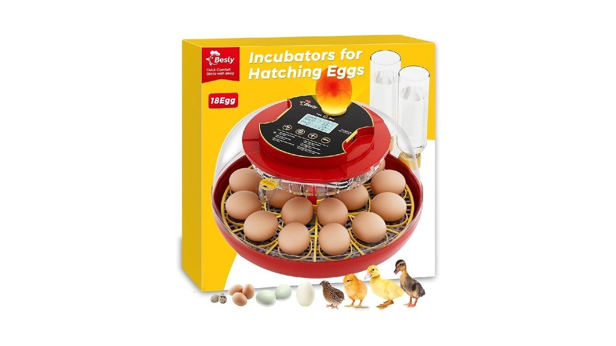 Verified image for post 272231