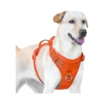 Verified image for post 272335