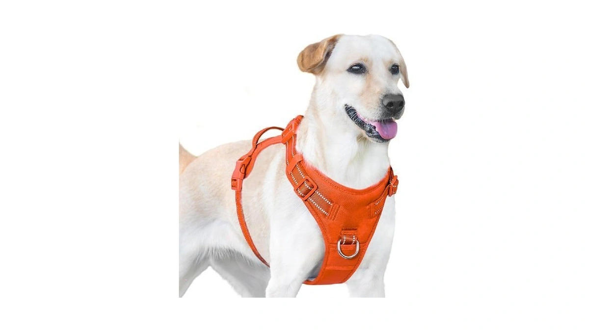 Verified image for post 272335