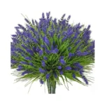 Verified image for post 272373