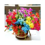 Verified image for post 273743