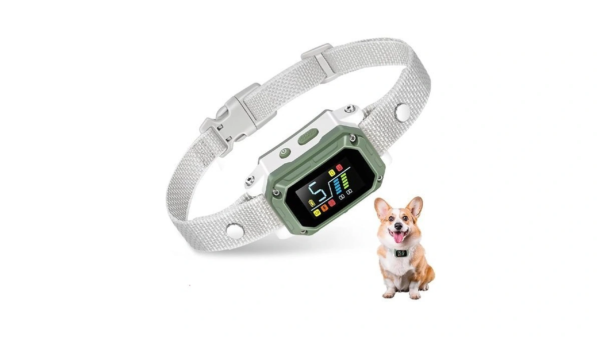 Verified image for post 273879