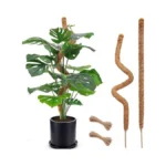 Verified image for post 274068