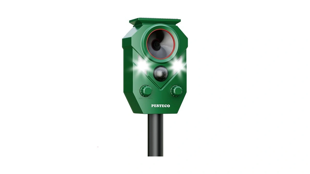 Verified image for post 274602