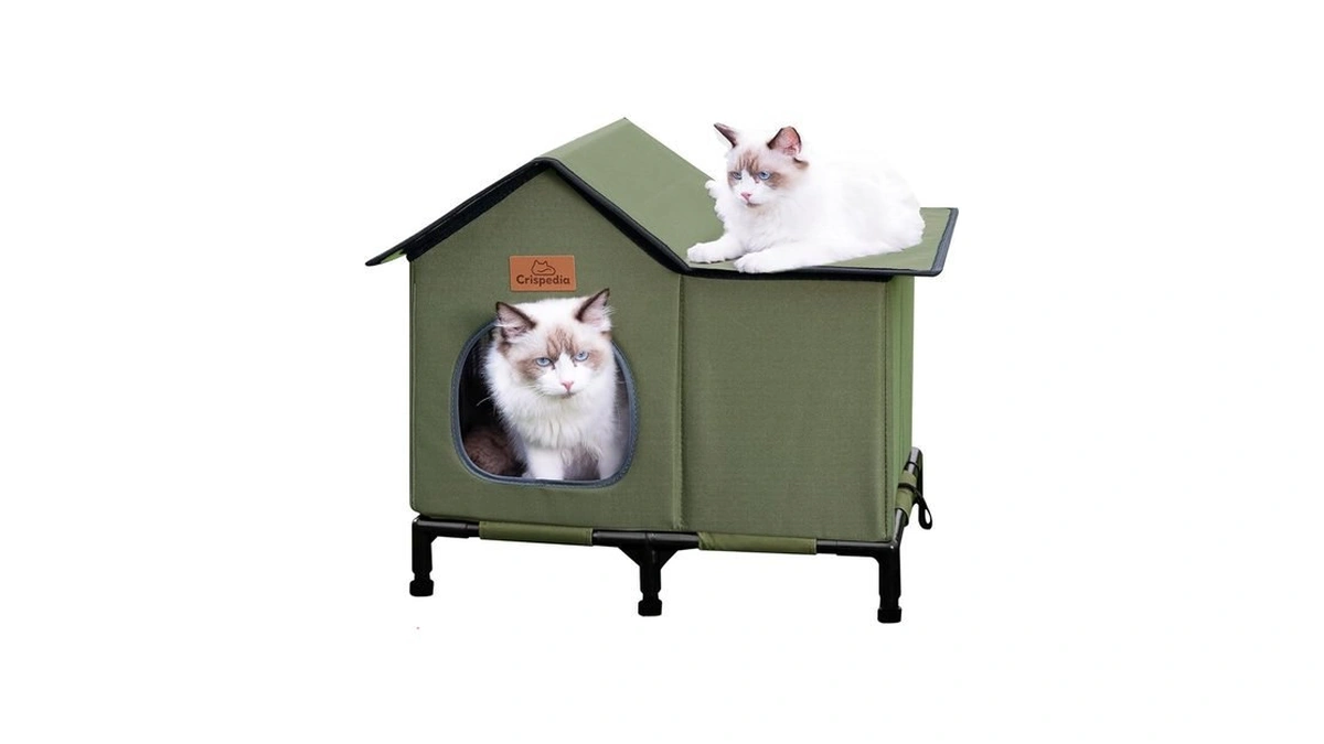 Verified image for post 274638