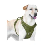 Verified image for post 274656