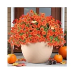 Verified image for post 274900