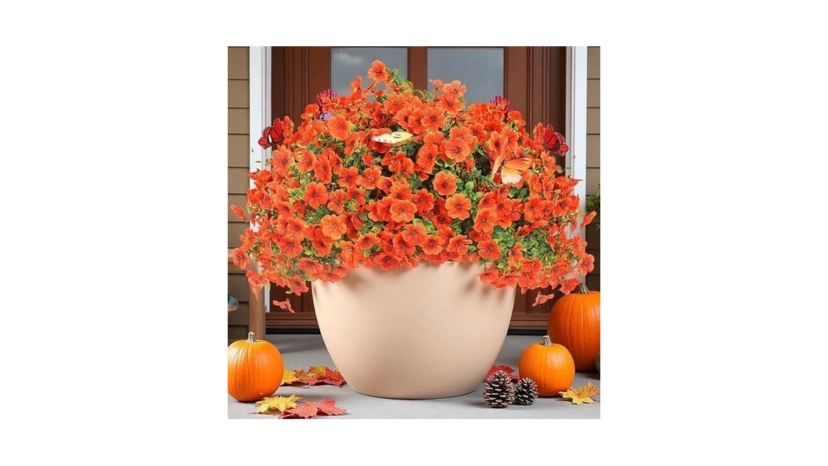 Verified image for post 274900