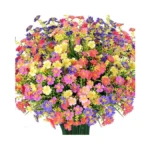 Verified image for post 275058