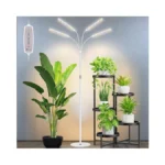 Verified image for post 275188