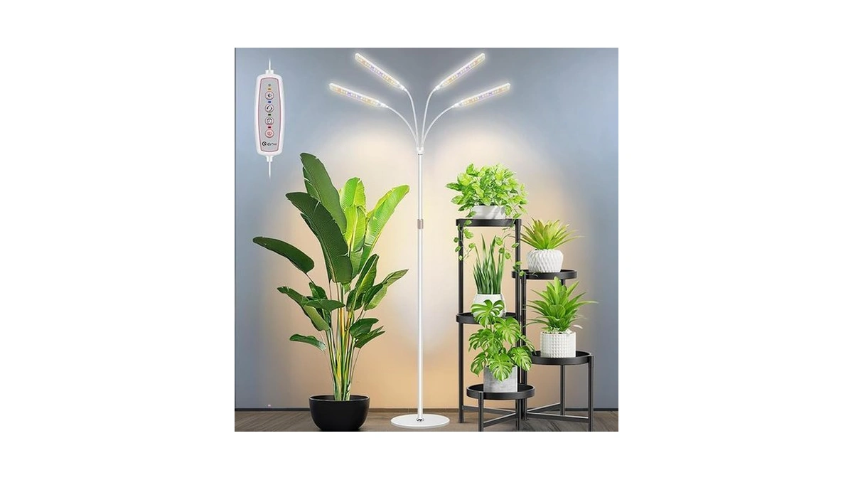 Verified image for post 275188