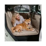 Verified image for post 275276