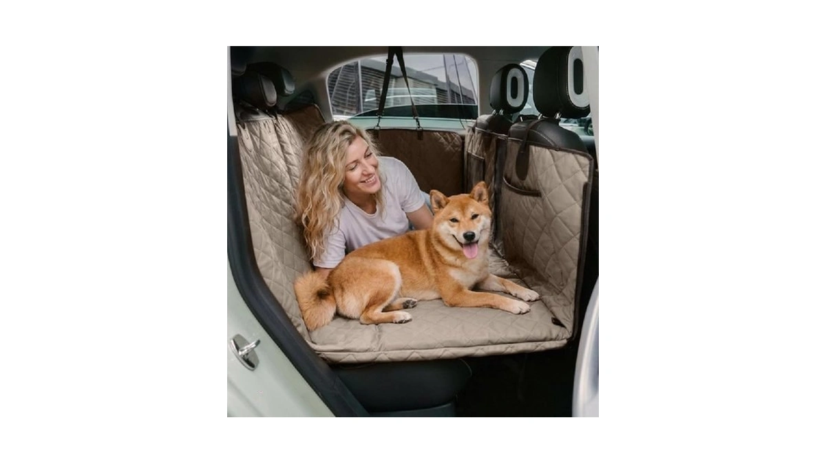 Verified image for post 275276