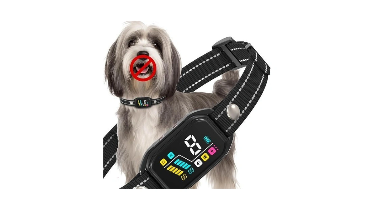 Verified image for post 275398