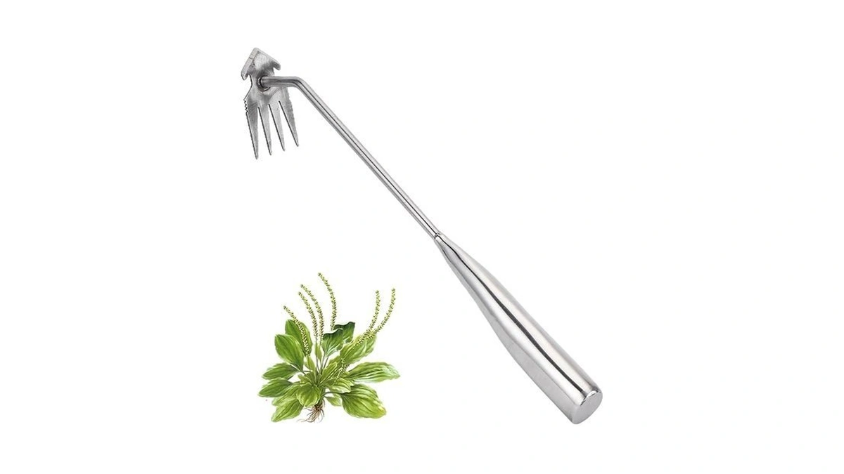 Verified image for post 275862