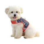 Verified image for post 276070