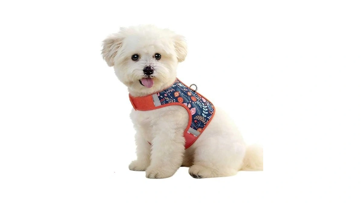 Verified image for post 276070