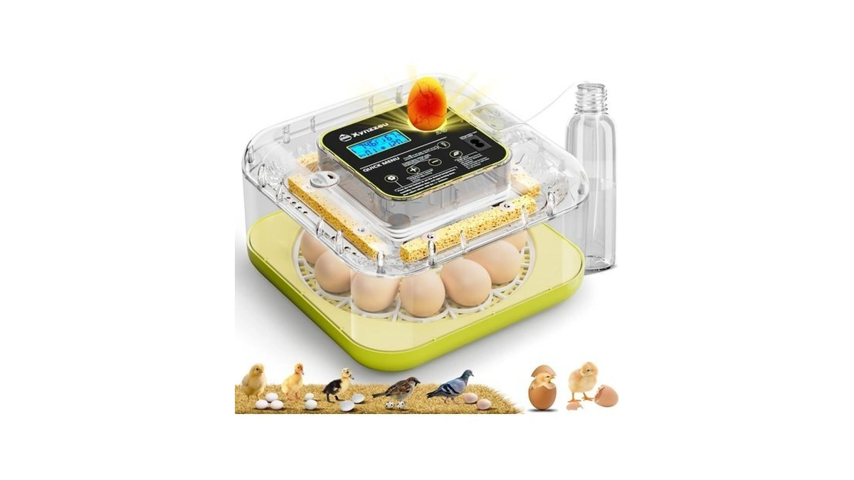 Verified image for post 276254