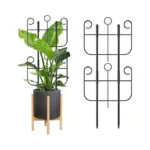 Verified image for post 276324