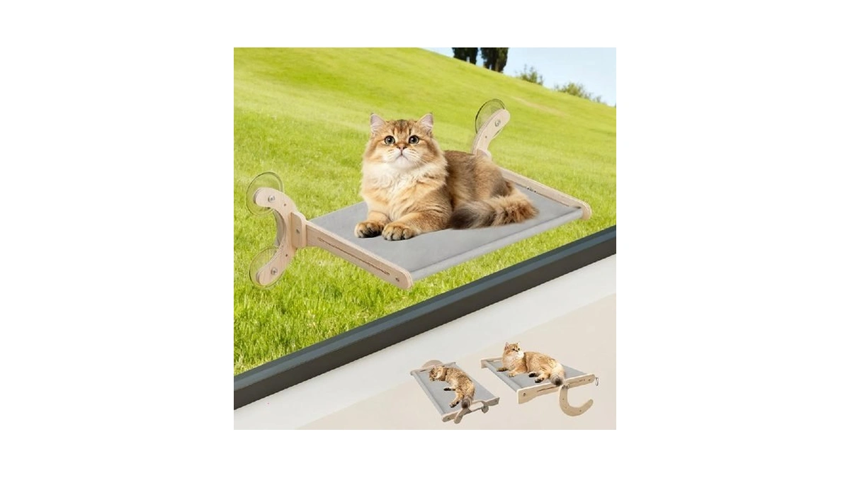 Verified image for post 277026