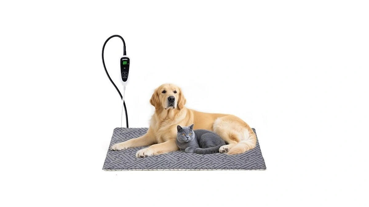 Verified image for post 277080