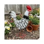 Verified image for post 277222