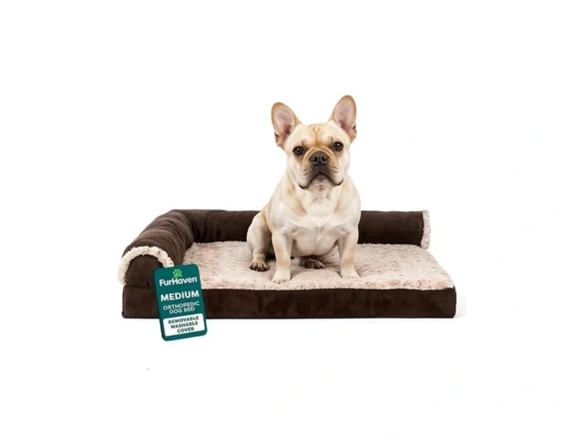 Furhaven Orthopedic Dog Bed For Medium Small Dogs W…